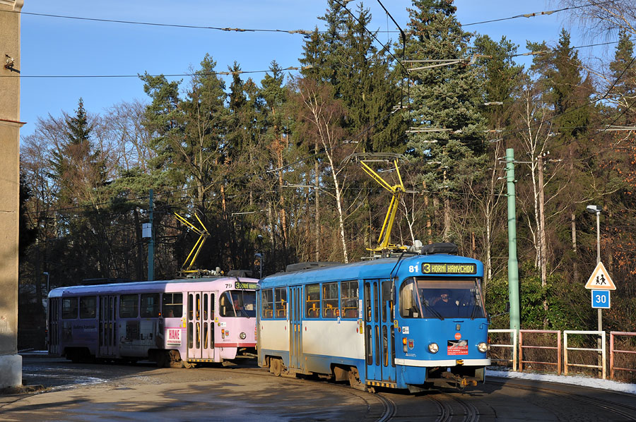 Tatra T3SUCS #81