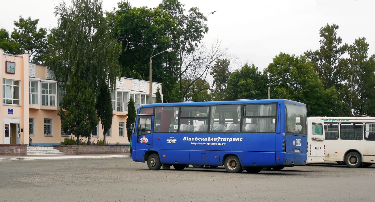 МАЗ 256170 #22039